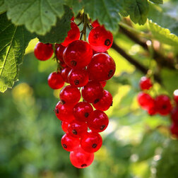 ���������� ��������� ������� ��������  