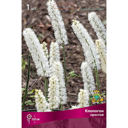 ���������� �������� �������  