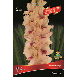 ���������� ��������� ������ (5��.)  