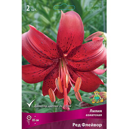 ���������� ����� ��������� ��� ������� (2��.)  