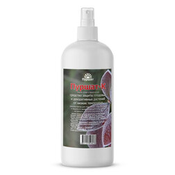 ���������� ����� ��� ������ �������� � ������������ �� ������ ���������� (0,5�.) 