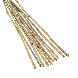 ���������� ���������� ����� 105 �� 8-10 �� (10 ��.)  