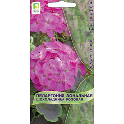 ���������� ���������� ��������� ����������� �������  