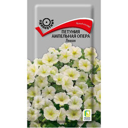 ���������� ������� ��������� ����� �����  