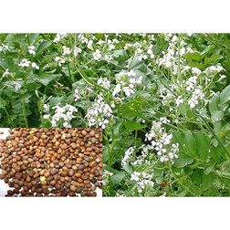 ���������� ������ ��������� �����  