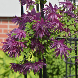 ���������� �������� ������������ ϸ�� ��������  