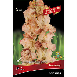 ���������� ��������� �������  