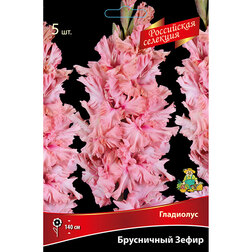 ���������� ��������� ���������� �����  