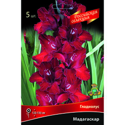 ���������� ��������� ����������  