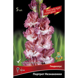 ���������� ��������� ������� ����������  