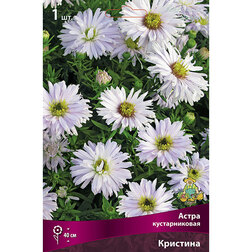 ���������� ����� ������������� ��������  