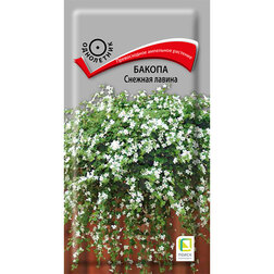 ���������� ������ ������� ������  