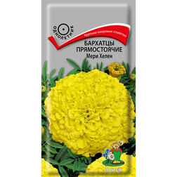 ���������� �������� ������������ ���� �����  