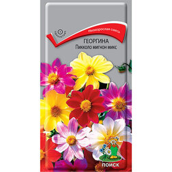 ���������� �������� ������� ������ ����  