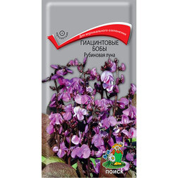 ���������� ����������� ���� ��������� ����  