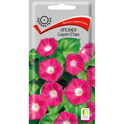 ���������� ������ ������� �`����  