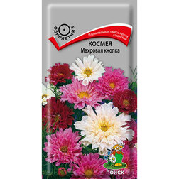 ���������� ������ �������� ������  