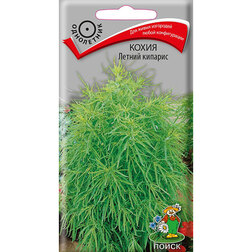 ���������� ����� ������ �������  