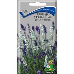 ���������� ������� ����������� ������� � �������  