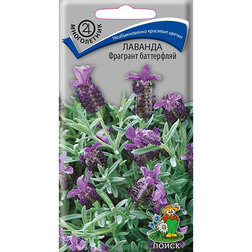 ���������� ������� �������� ����������  