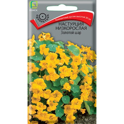 ���������� ��������� ����������� ������� ���  