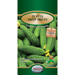 ���������� ������ ���� 1801 F1  