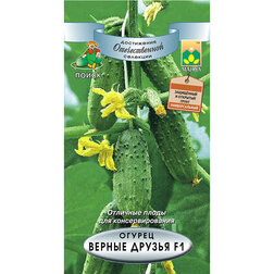 ���������� ������ ������ ������ F1  