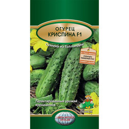 ���������� ������ �������� F1  