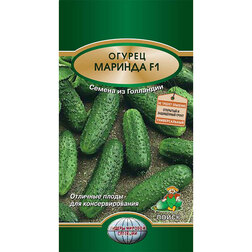 ���������� ������ ������� F1  