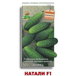 ���������� ������ ������ F1  