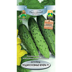 ���������� ������ ������������ ������ F1  