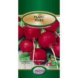 ���������� ����� �����  