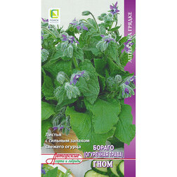 ���������� ������ (��������� �����) ����  