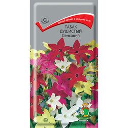 ���������� ����� �������� ��������  