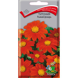 ���������� ������� ����� ������  