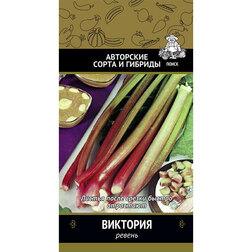 ���������� ������ ��������  