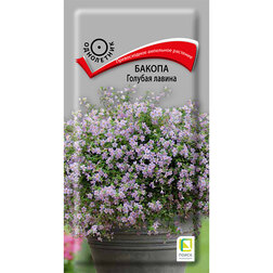 ���������� ������ ������� ������  