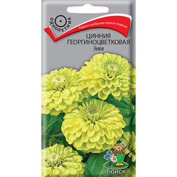 ���������� ������ ����������������� ����  