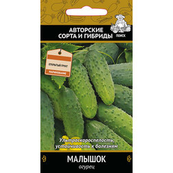 ���������� ������ �������  