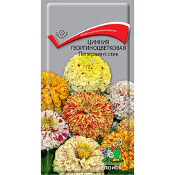 ���������� ������ ����������������� ��������� ����  