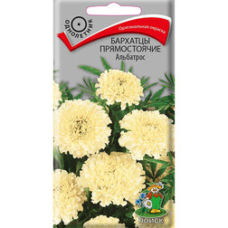 ���������� �������� ������������ ���������  