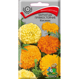 ���������� �������� ������������ ���������  