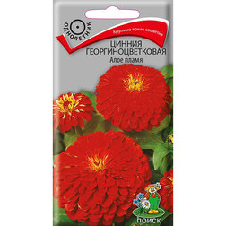 ���������� ������ ����������������� ���� �����  