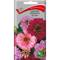 ���������� ������ ������� ��� ����  