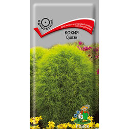 ���������� ����� ������  