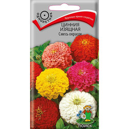 ���������� ������ ������� ����� �������  