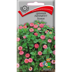 ���������� ������ �������� �������  