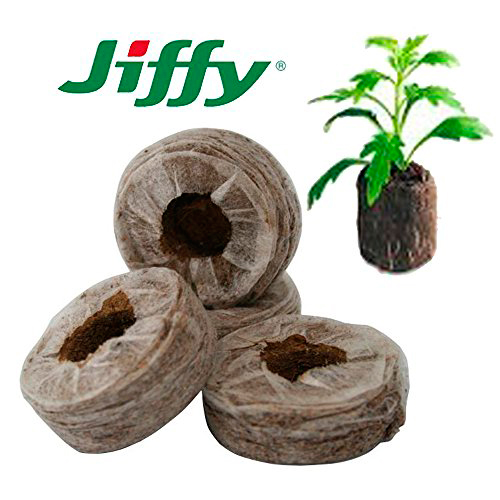    JIFFY -   - 7 (Jiffy - 7) 33 , 30 .    , -, 