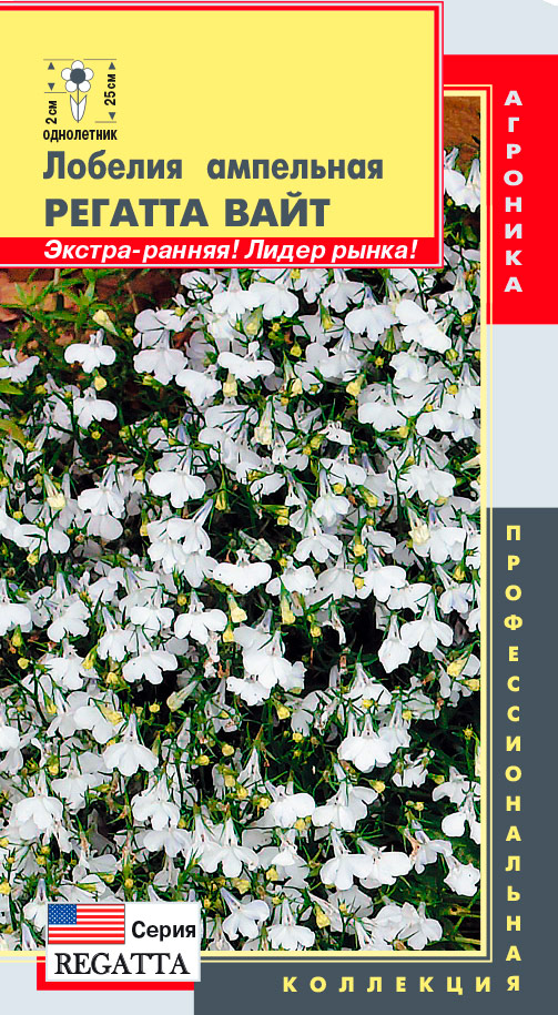 ���������� ������ ������� ������� ��������� ������� ����, 8 ����������� ���������������� ���������  