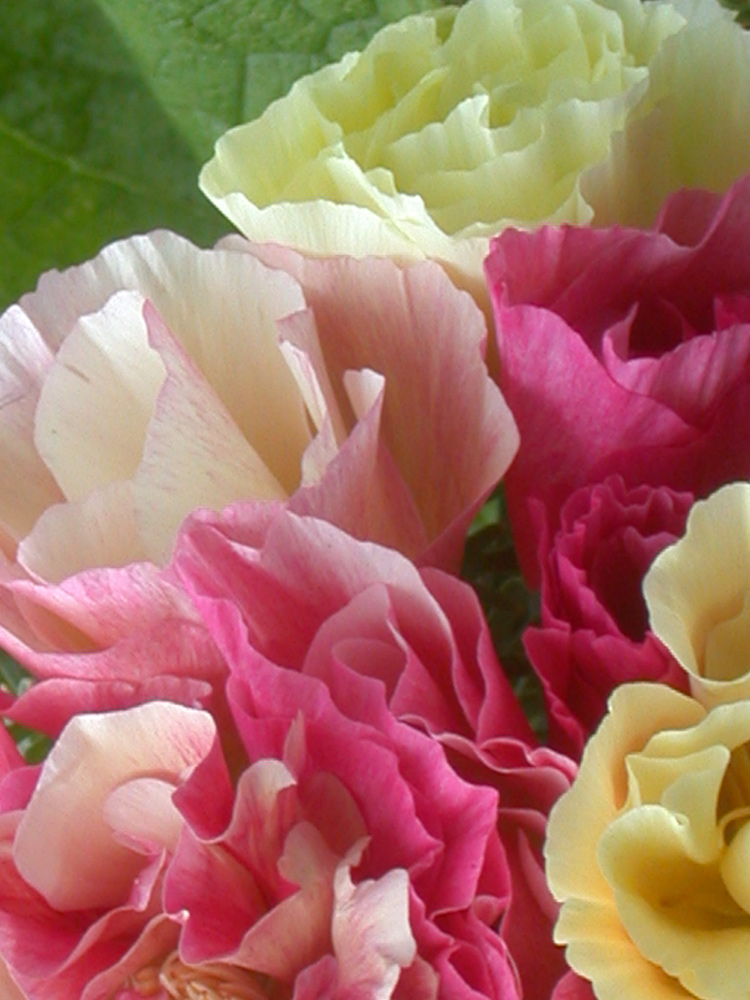 ���������� ������ ���������� ��������� �������������� ������, �����, 20 ��. ������ ������� ��������  